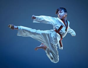 martial-arts-industry-overview